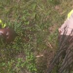 Boda Boda Operator Killed in Makotelo, Bungoma County – Motorbike Stolen