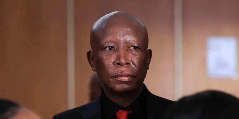 Julius Malema Sentenced to 5 Years in Jail Over Rifle Incident, Sparks Political Shock in South Africa