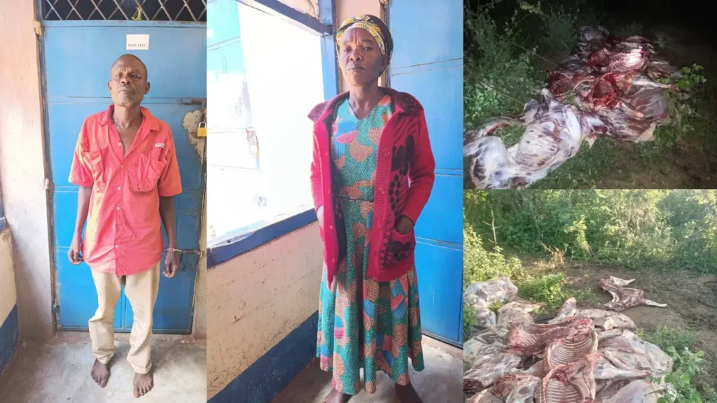 Makindu Donkey Slaughter Syndicate Busted as Police Stop Illegal Meat Supply to Cities